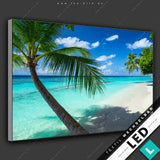 Led Bild Kokospalme Am Strand Querformat Motivvorschau