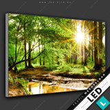 Led Bild Natur Pur Der Wald Querformat Motivvorschau
