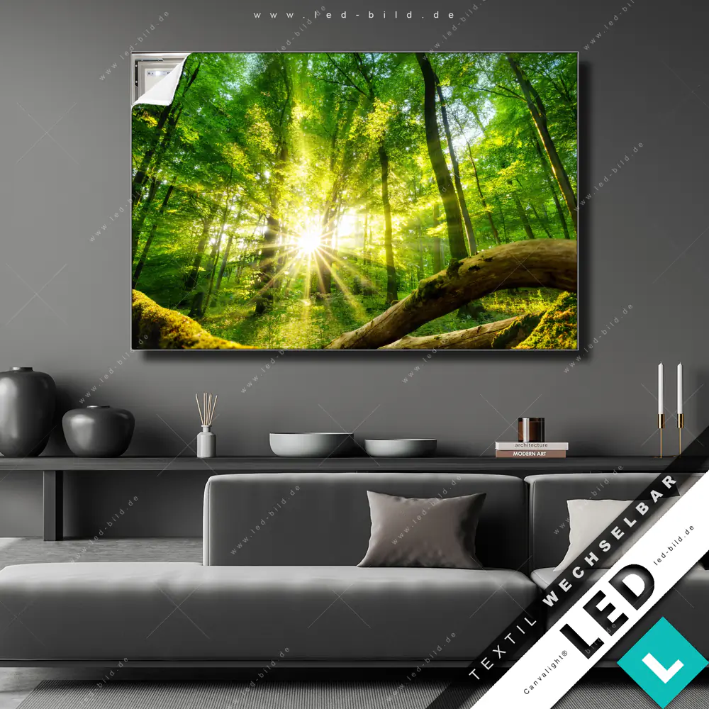 LED Wechsel-Leinwand Canvalight® TEX | Wolf & Wald No.1 | Querformat main image 0