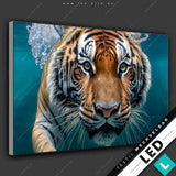 Led Bild Tauchender Tiger Querformat Motivvorschau