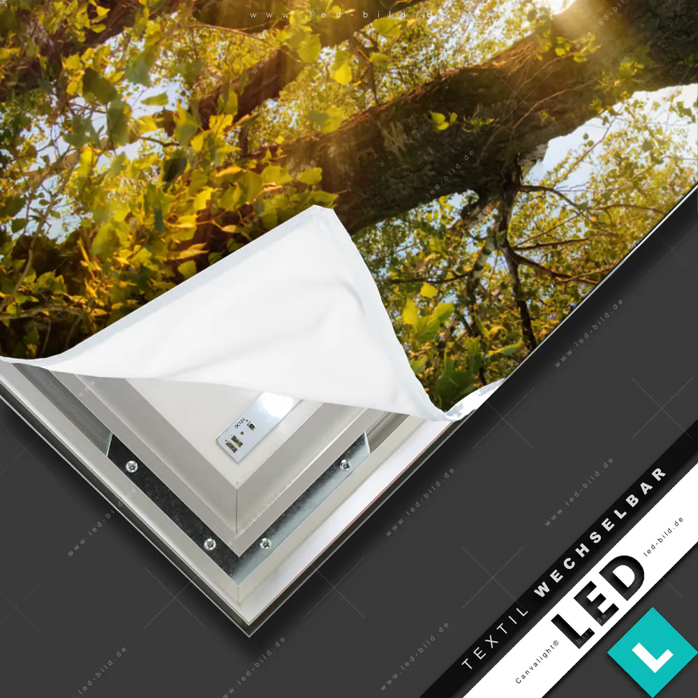 Canvalight TEX LED-Bild Waldgeheimnisse zwischen den Bumen ...