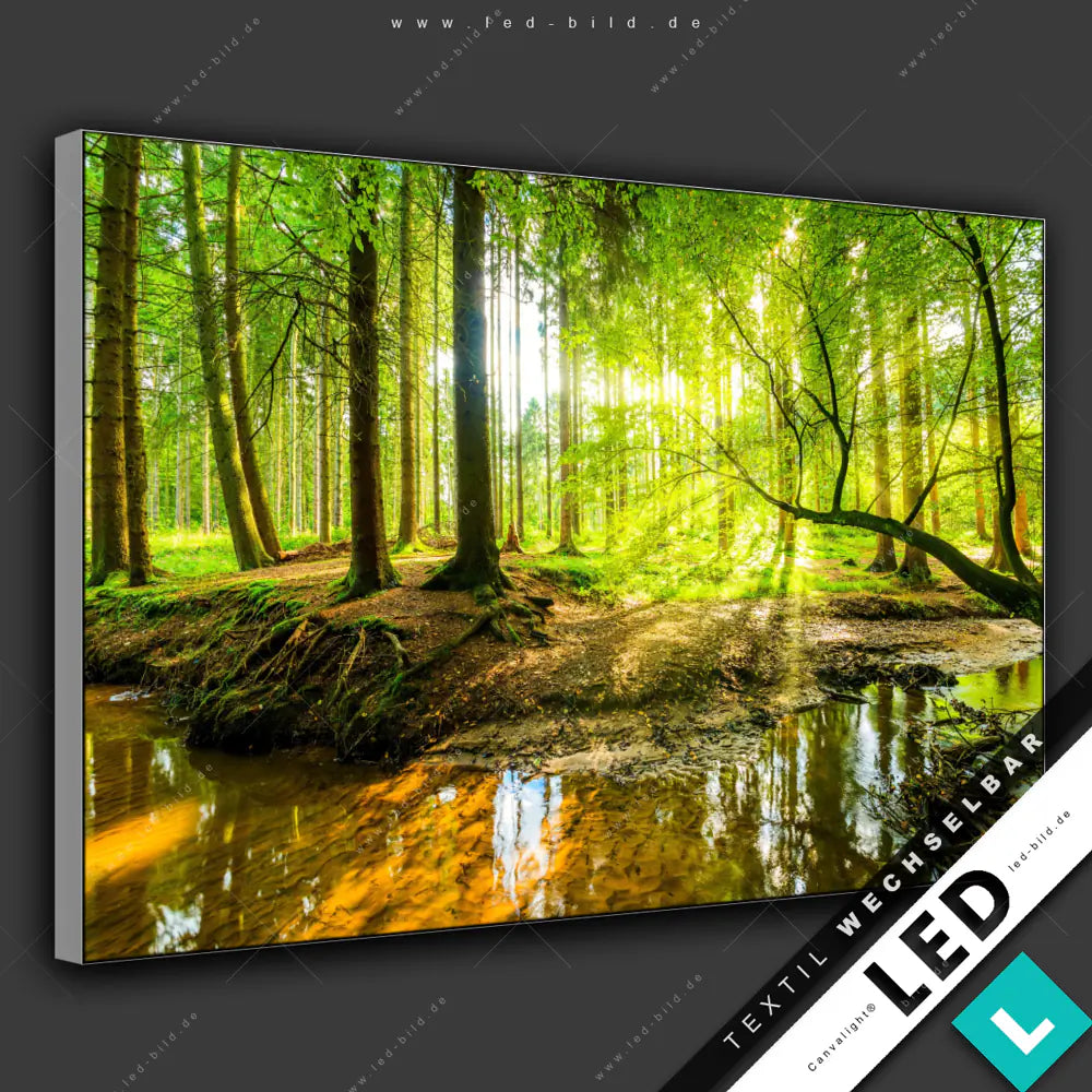 Led Bild Wald