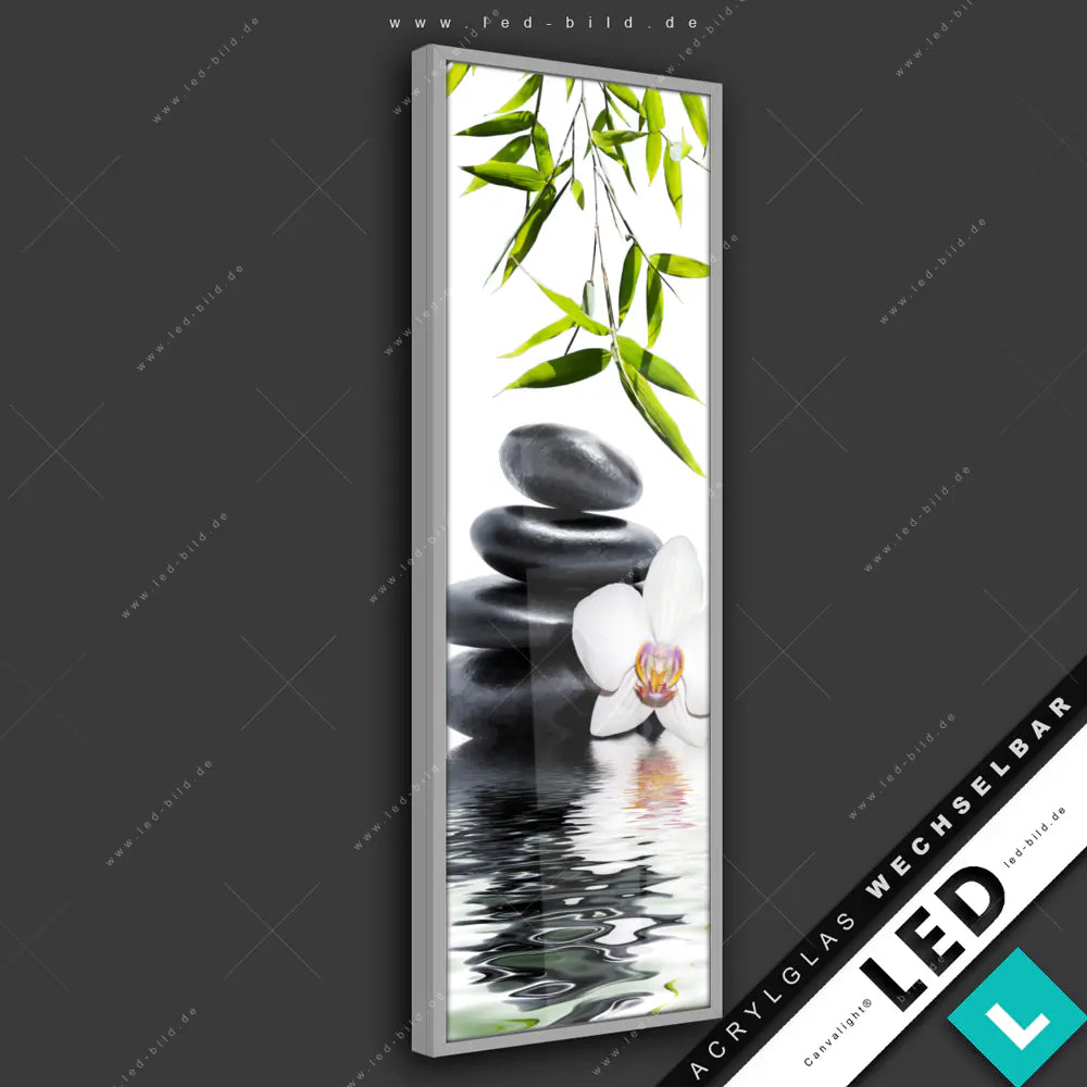 LED Glasbild Canvalight® DIA ✓ weiße Blüte lehnt an Zen-Steinen im Wasser |  Buddha - Feng Shui, Blumen - Botanik