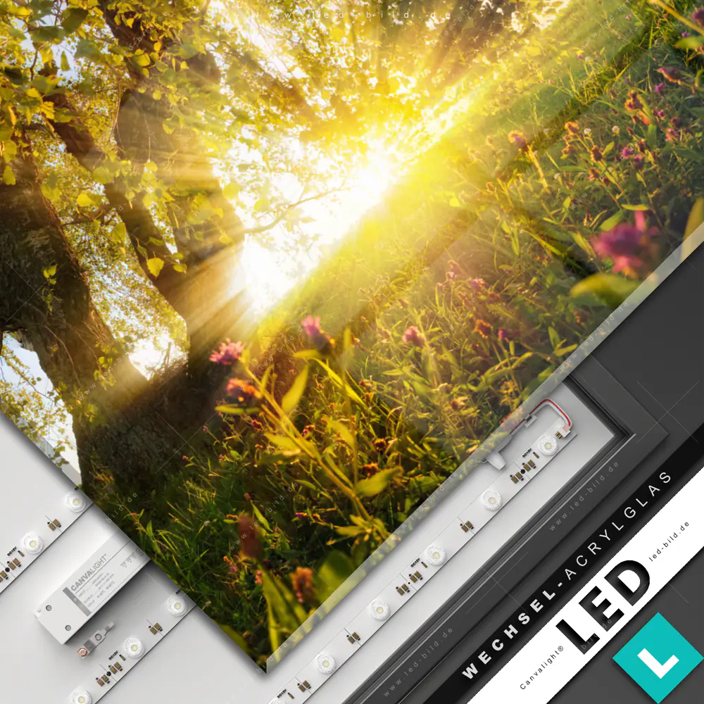LED Wechsel-Leinwand Canvalight® TEX | Wolf & Wald No.1 | Querformat main image 1