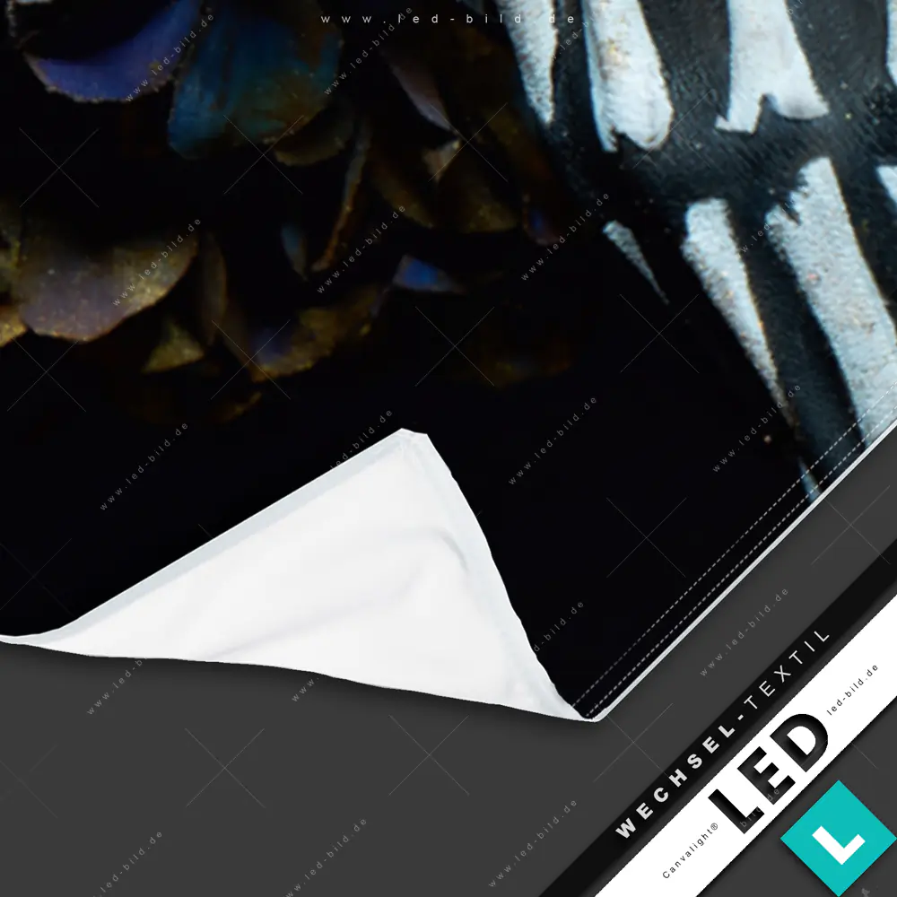 Aladine Textiltransfer-Aufkleber 'Totenkopf Groß' – Für DIY-Kleidung & Textilien