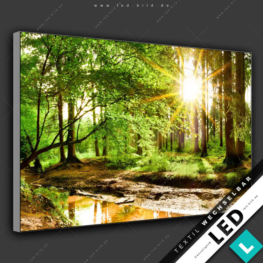 Led Bilde Wald & Bäume LED Bilder | Leuchtbilder | Wandbilder LED – LED-Bild.de