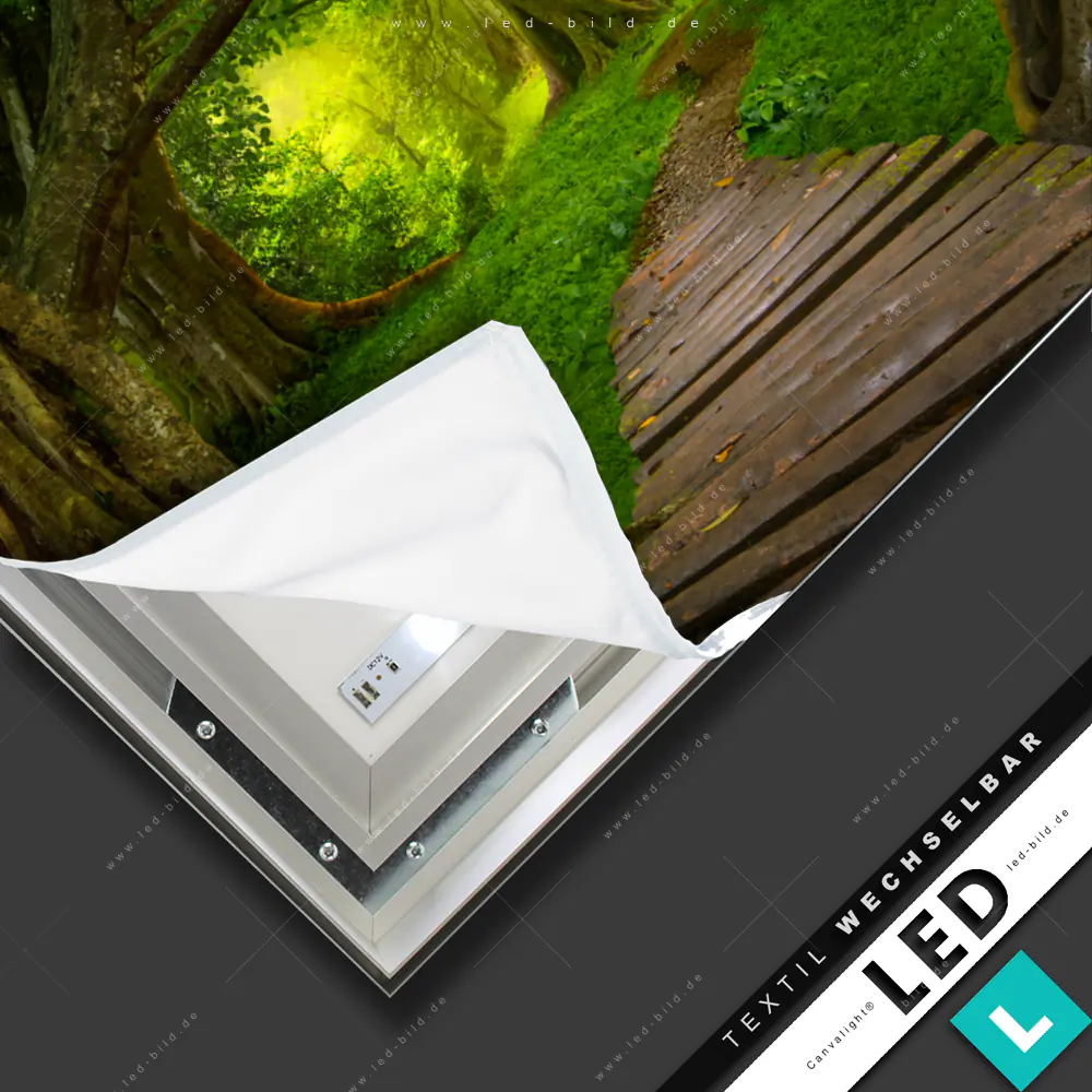 Canvalight® TEX LED-Bild Holzweg durch tropische Wälder | Landschaften ...