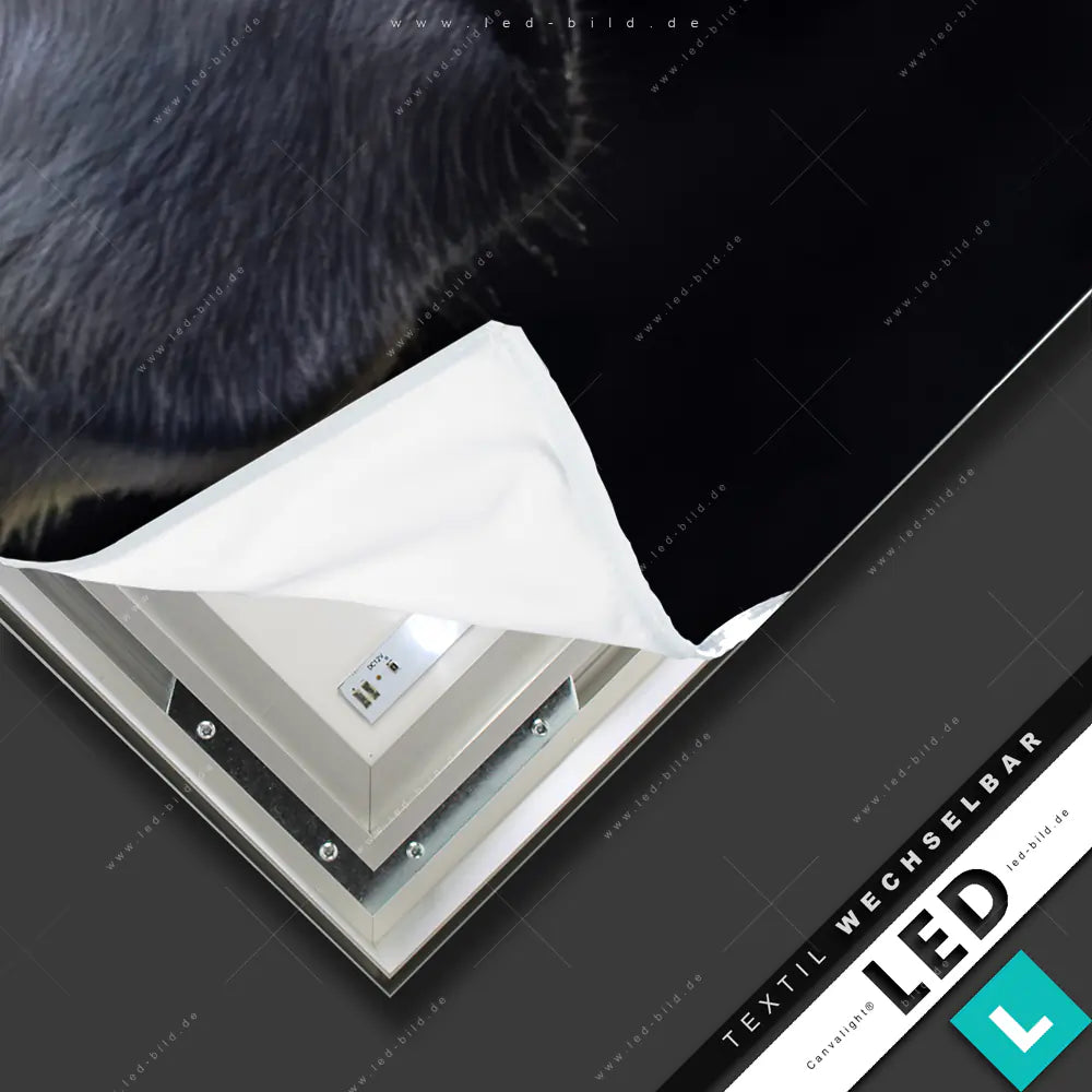 Canvalight® TEX LED-Bild Eis trifft Erde - Bärenfreundschaft | Tierwelt ...