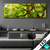 Led Bild Baumkrone Einer Buche Panorama Produktvorschau