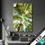 Led Bild Blick In Baumkronen Hochformat Produktvorschau