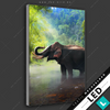 Led Bild Elefant Im Wasser Hochformat Motivvorschau