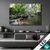 Led Bild Felsenbach Im Regenwald Querformat Produktvorschau