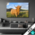 Led Bild Hochland Bulle Querformat Produktvorschau