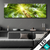 Led Bild Im Frischen Gruenen Wald Panorama Produktvorschau
