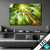 Led Bild Im Frischen Gruenen Wald Querformat Produktvorschau