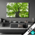 Led Bild Imposanter Baum Querformat Produktvorschau