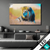 Led Bild Loewe Farben Der Wildnis Querformat Produktvorschau