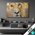 Led Bild Loewe Querformat Produktvorschau