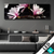 Led Bild Magnolien Zen Steine Panorama Produktvorschau