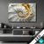 Led Bild Muschelspirale Mit Gold Querformat Produktvorschau