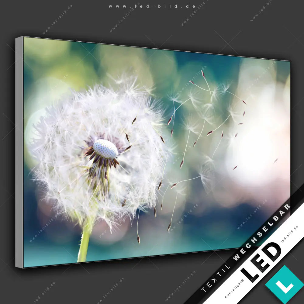 Canvalight® TEX LED-Bild Wind trägt Blütensamen | Blumen - Botanik ...