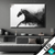 Led Bild Schwarzes Pferd Voller Energie Querformat Produktvorschau