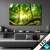 Led Bild Sonnenstrahlen Im Dichten Wald Querformat Produktvorschau
