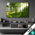 Led Bild Sonniger Morgen Im Wald Querformat Produktvorschau