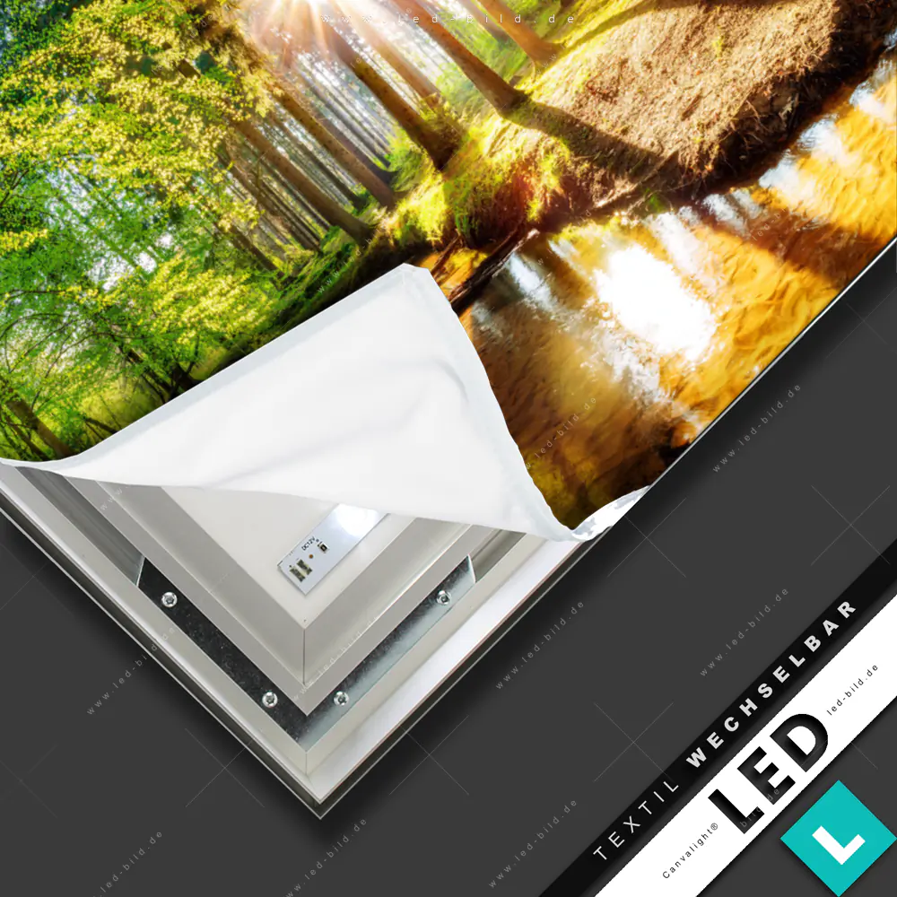 Canvalight® TEX LED-Bild Sommerlicher Wald | Landschaften, Wald - Bäume ...