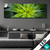 Led Bild Spitze Agavenblaetter Panorama Produktvorschau