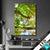 Led Bild Wald Mit Bach Bei Sonnenschein Hochformat Produktvorschau