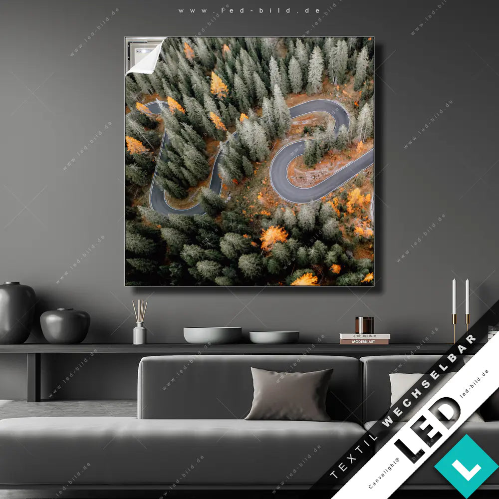 Canvalight® TEX LED-Bild Luftaufnahme Waldstraße | Landschaften, Wald ...