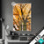 Led Glasbild Alte Buche Hochformat Produktvorschau