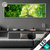 Led Glasbild Baum Im Wald Panorama Produktvorschau