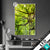 Led Glasbild Baumkrone Einer Buche Hochformat Produktvorschau