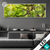 Led Glasbild Baumkrone Einer Buche Panorama Produktvorschau