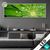 Led Glasbild Blatt Mit Wassertropfen Panorama Produktvorschau