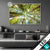 Led Glasbild Blick In Baumkronen Querformat Produktvorschau