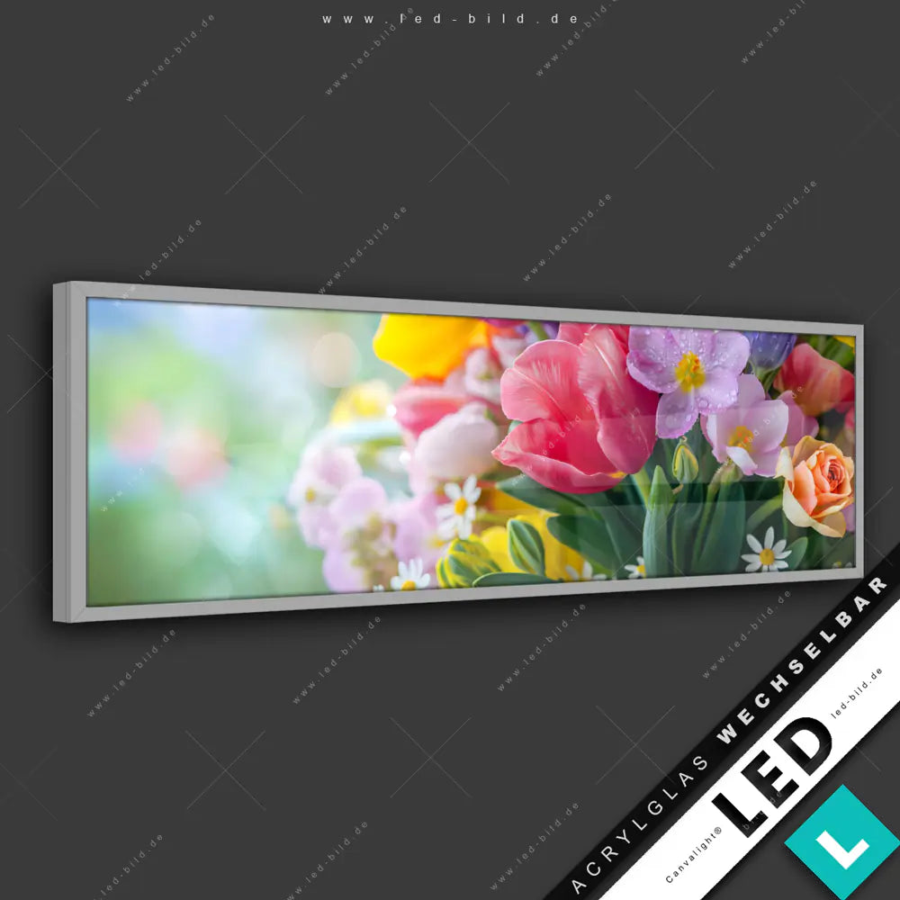 LED Glasbild Canvalight® DIA Frische Blüten mit Morgentau | Blumen ...