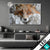 Led Glasbild Friedlicher Fuchs Und Blumen Querformat Produktvorschau