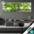 Led Glasbild Imposanter Baum Panorama Produktvorschau