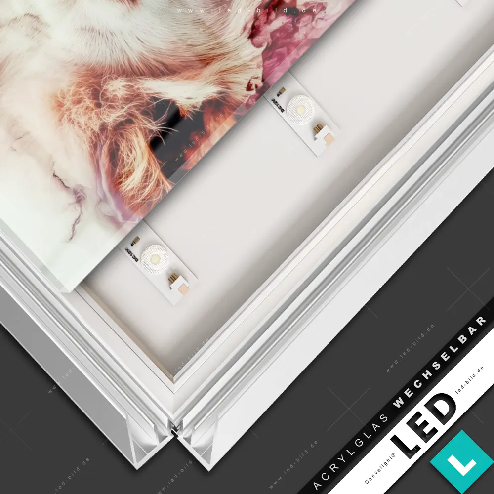 LED Glasbild Canvalight® DIA Kraft des Löwen | Tierwelt | Hochformat ...