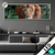 Led Glasbild Loewe Im Gruenen Regenwald Panorama Produktvorschau