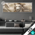 Led Glasbild Loewenkopf Mit Weisser Maehne Panorama Produktvorschau