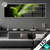 Led Glasbild Papagei Gruene Farbexplosion Panorama Produktvorschau