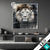 Led Glasbild Portraet Eines Loewen Quadrat Produktvorschau