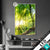Led Glasbild Sonnenstrahlen Im Dichten Wald Hochformat Produktvorschau