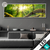 Led Glasbild Sonnenstrahlen Im Dichten Wald Panorama Produktvorschau