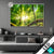 Led Glasbild Sonnenstrahlen Im Dichten Wald Querformat Produktvorschau