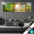 Led Glasbild Sonniger Wald Panorama Produktvorschau
